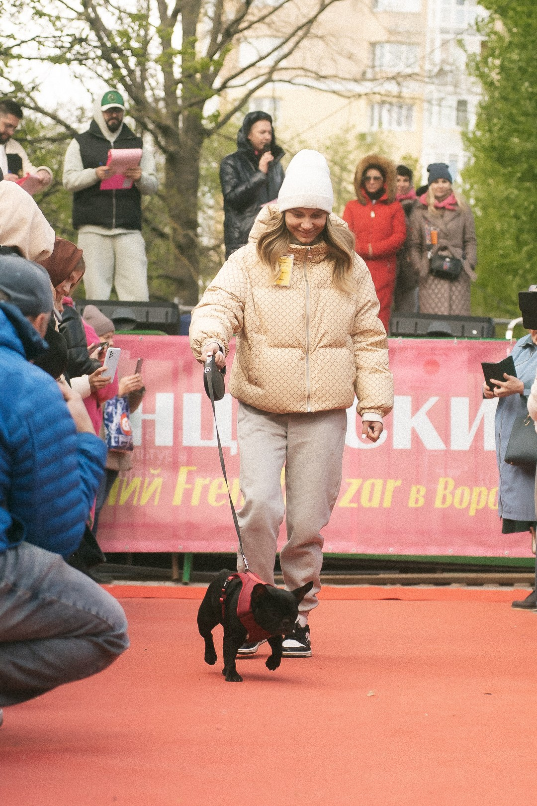 Парад Бульдогов. Axenov_eugene