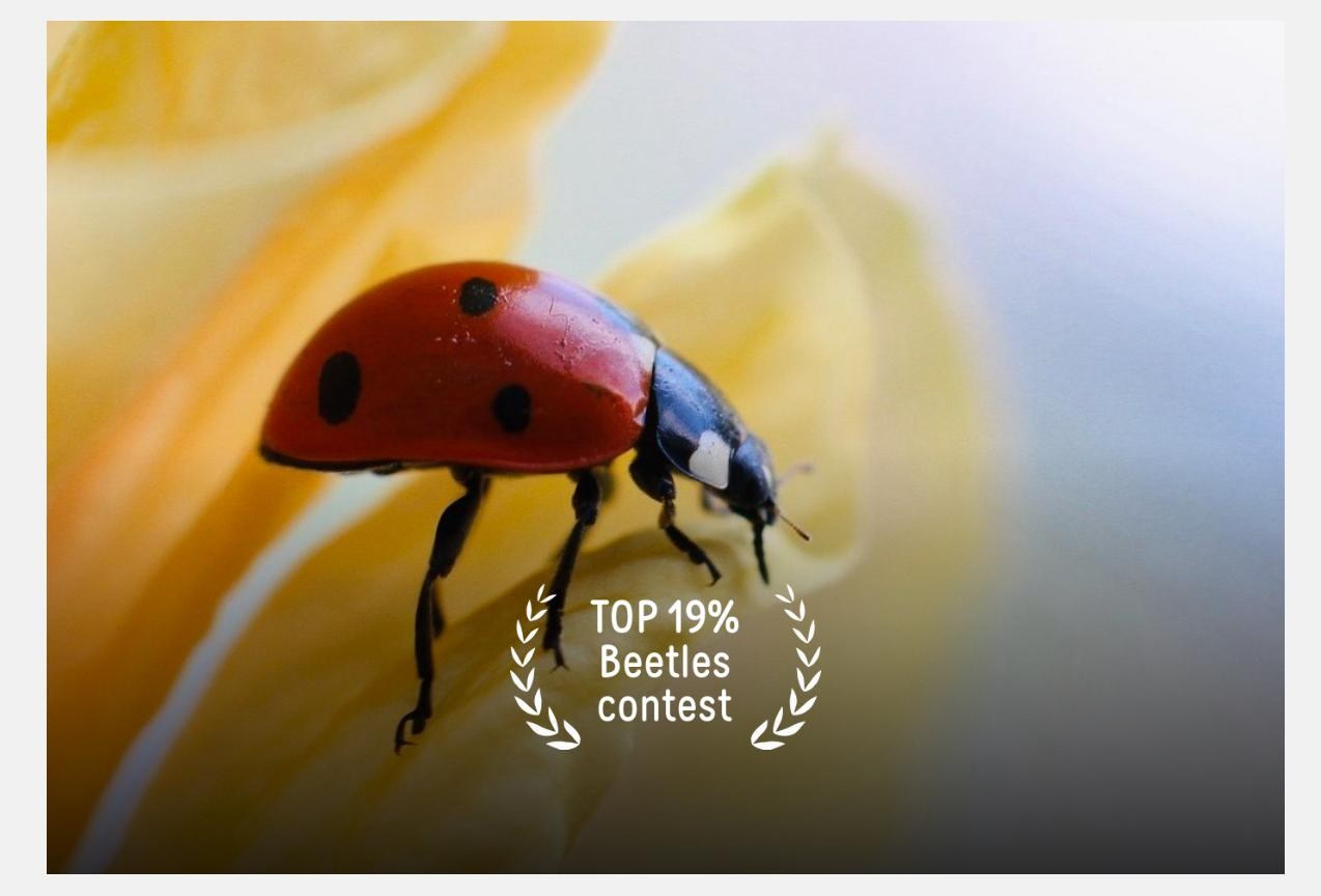 35AWARDS Тематические фотоконкурсы. Семейный и детский фотограф в Алматы Юровских Инесса