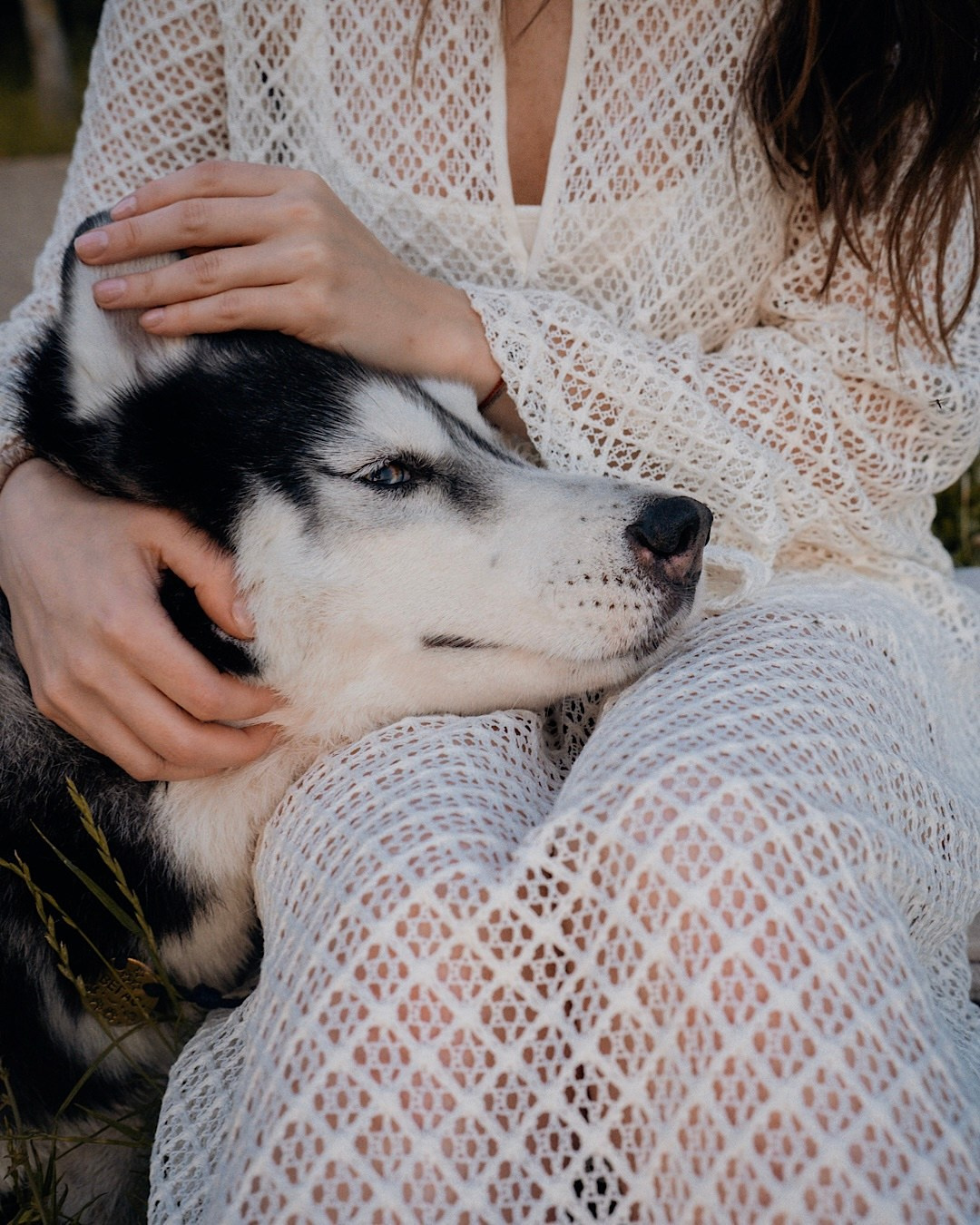 Мария и Вегас. Фотограф анималист в Москве и Санкт-Петербурге Свиридова Анна