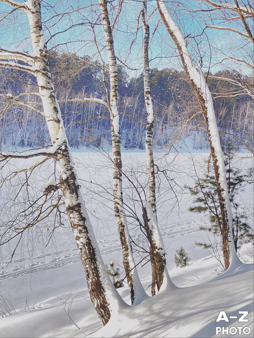 #ФОТОНЕДЕЛИ 19.01.2026. Женский семейный фотограф Тула Москва Захарова Анна