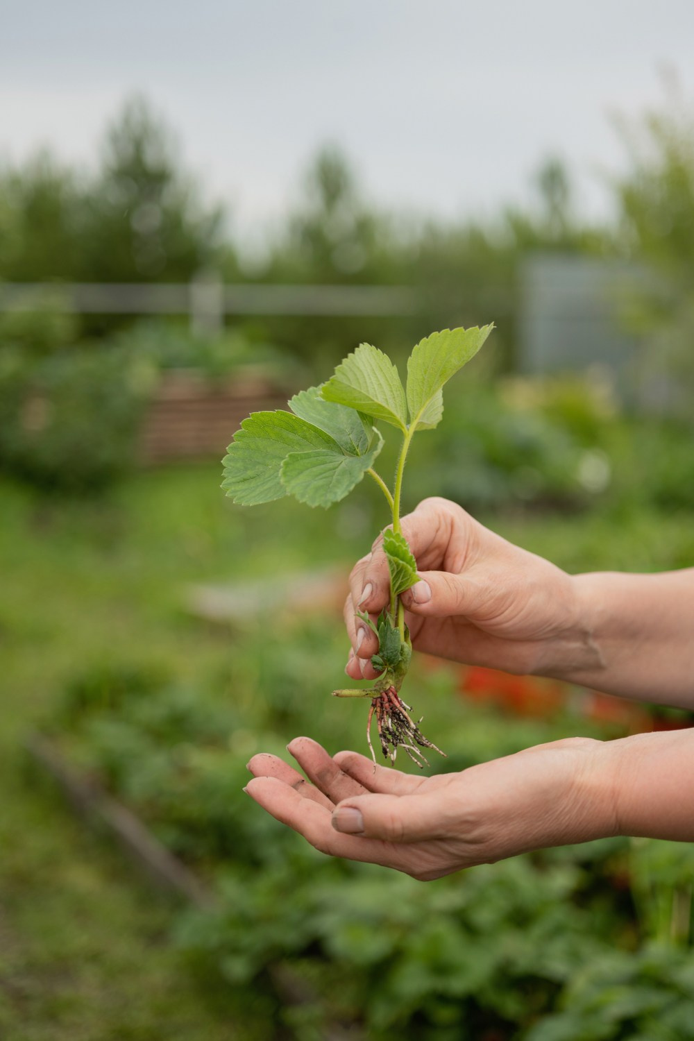 Фотограф в Екатеринбурге | Портреты, семейные съемки, лайфстайл