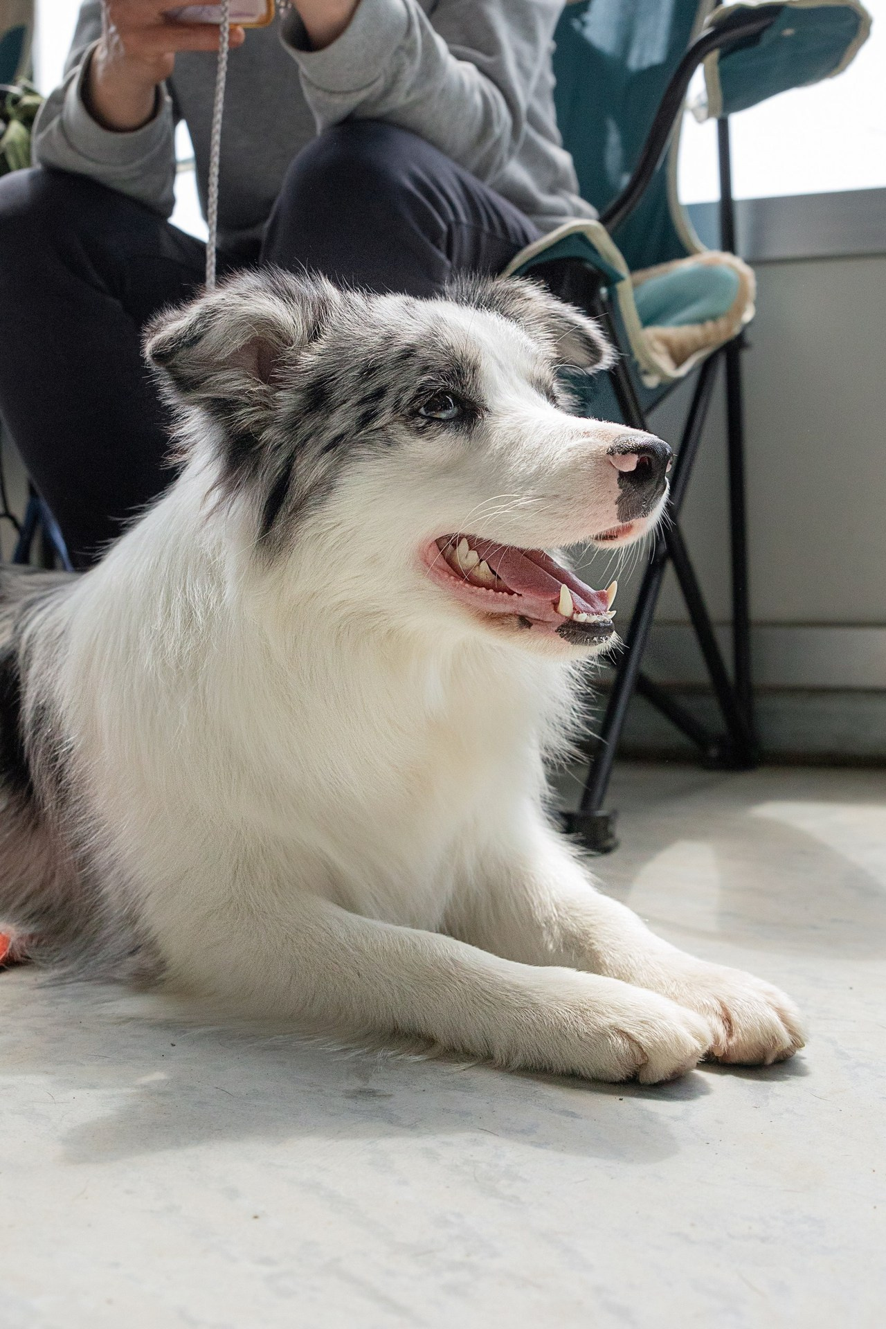 Отзывы. Семейный и частный фотограф во Владивостоке
