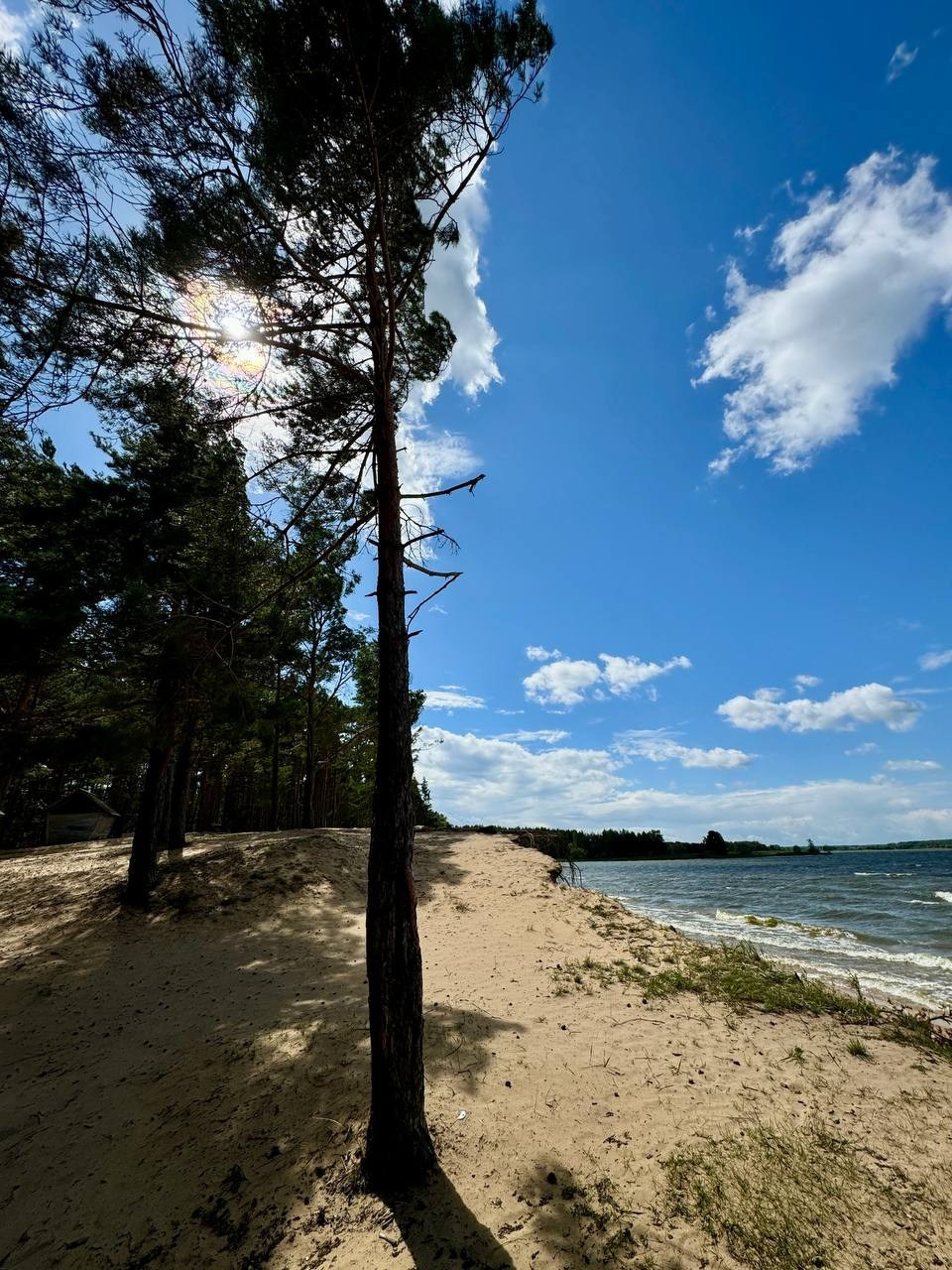 Территория. Добро пожаловать в Кемпинг — уникальное место для отдыха на лоне природы!