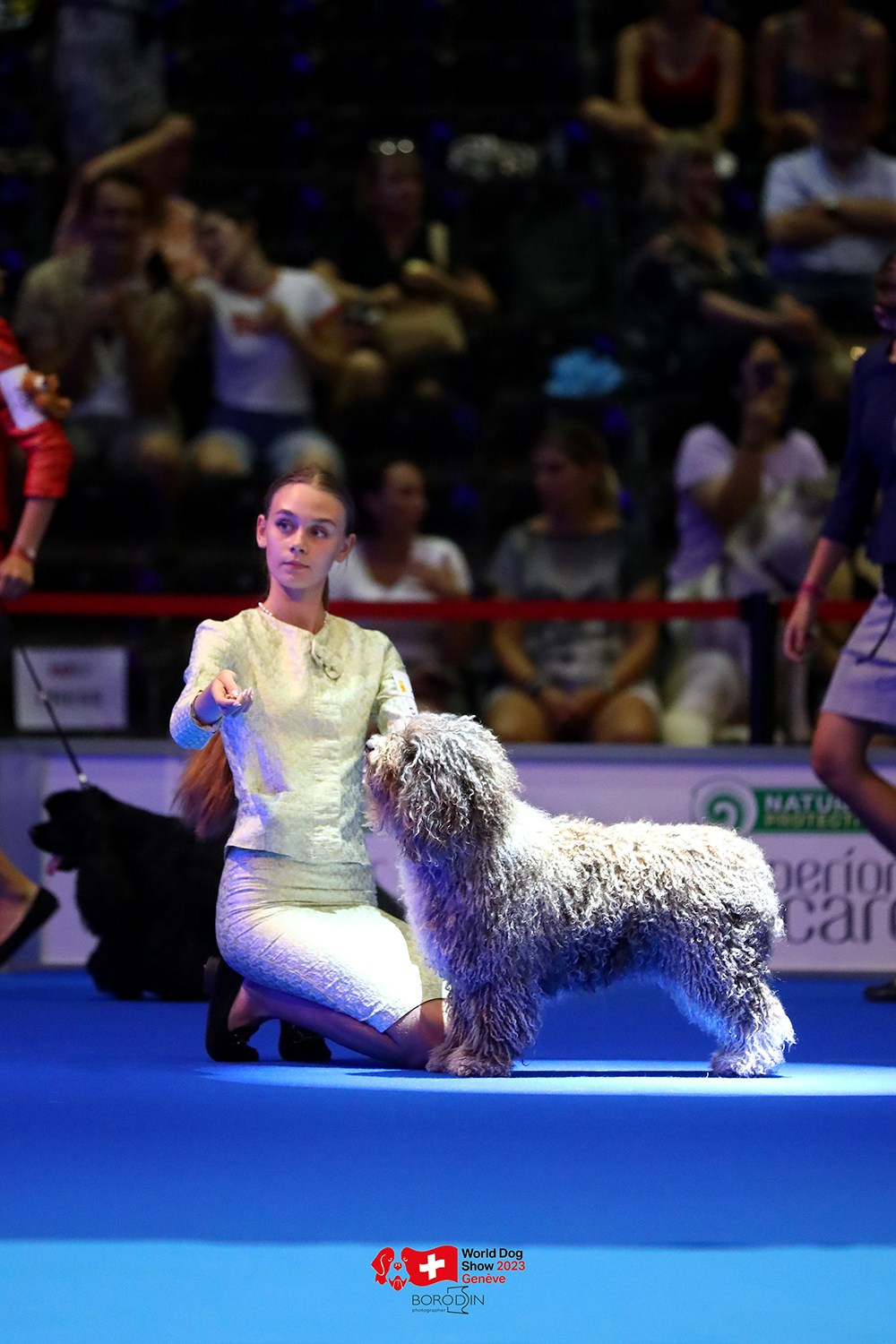 24-27.08.2023 WDS Geneva. Фотограф Дмитрий Бородин