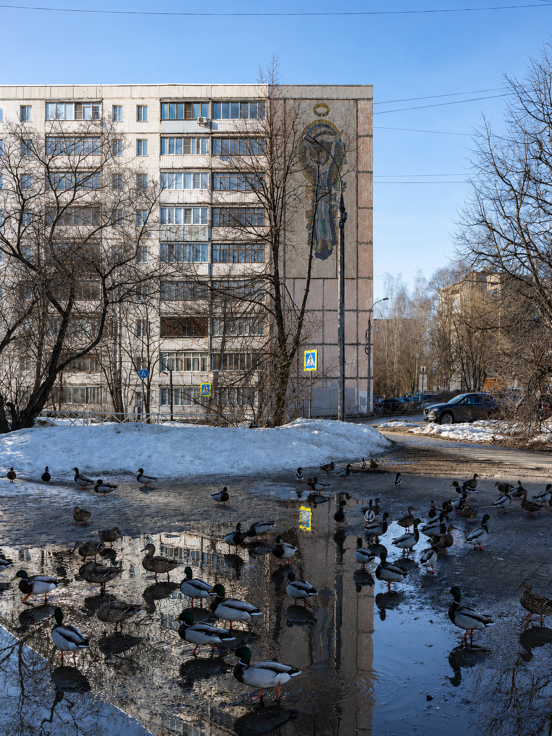 РЫБИНСК. СКОМОРОХОВА ГОРА. ЦЕНТР. ФОТОИСТОРИЯ. УСКОЛЬЗАЮЩАЯ КРАСОТА В ДЕТАЛЯХ