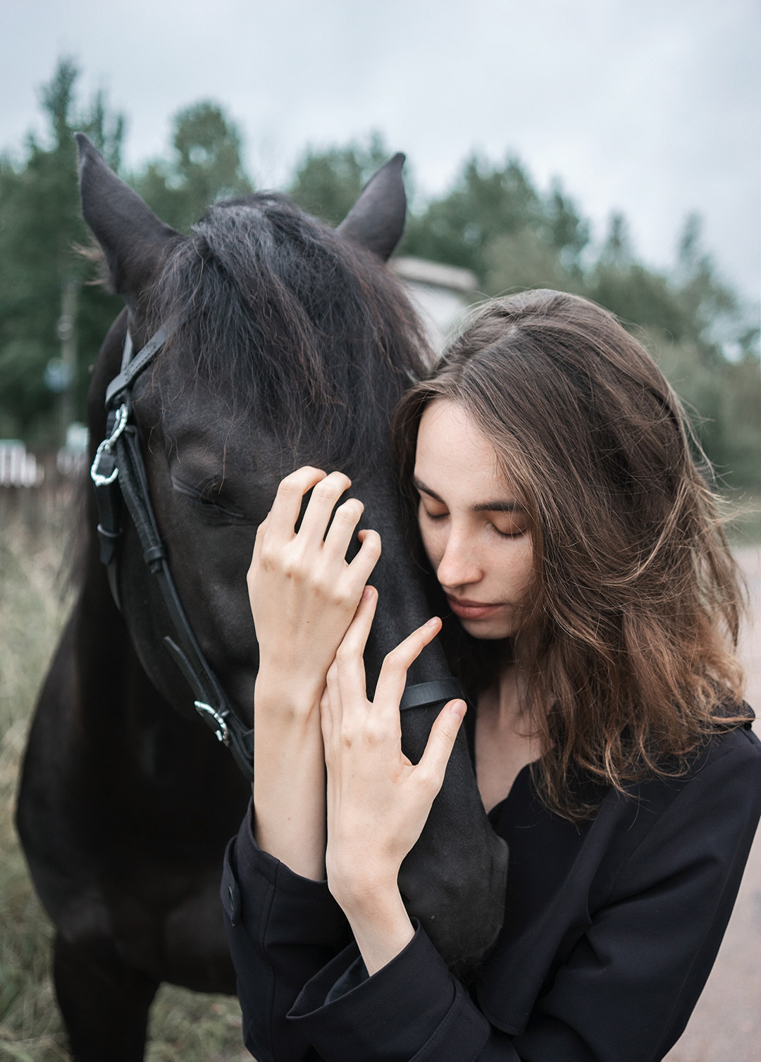 Horses. Фотограф в Санкт-Петербурге Диана Цой