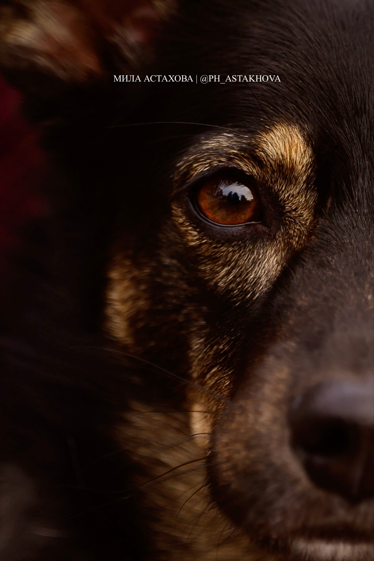 Милка и Ольга. Мила Астахова