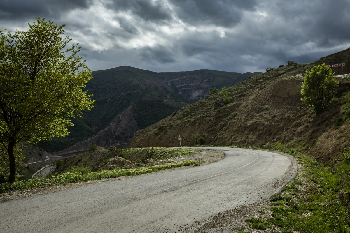 Природа. Photomantis