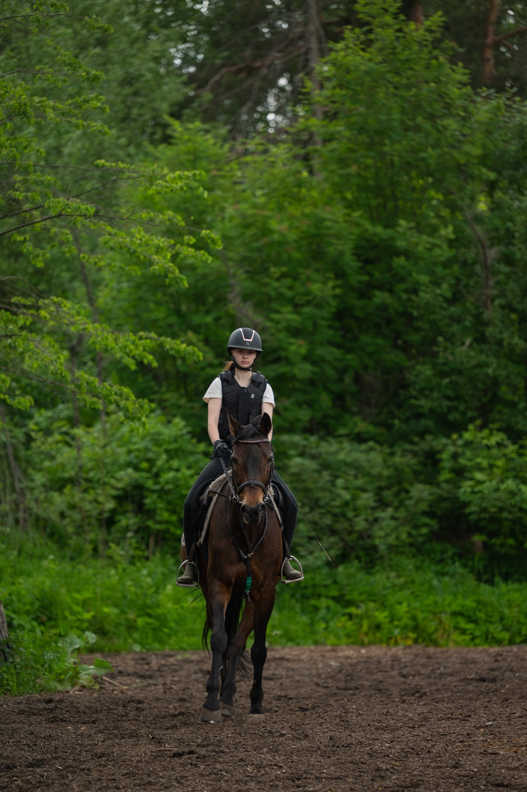 Конюшня. Мир живой фотографии о Вас и для Вас