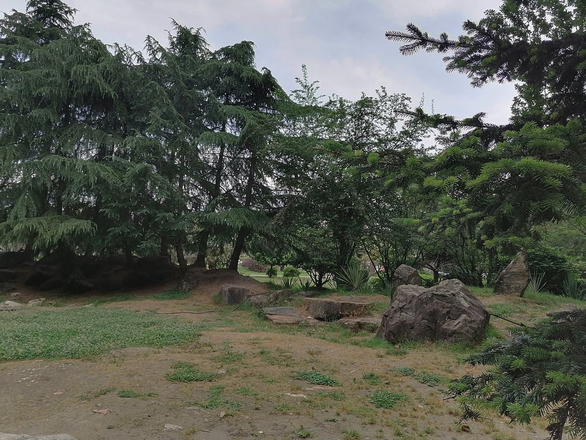 КРАСИВЫЕ МЕСТА В СОЧИ. Свадебный и семейный фотограф/видеограф в Краснодаре Наталья Осинская