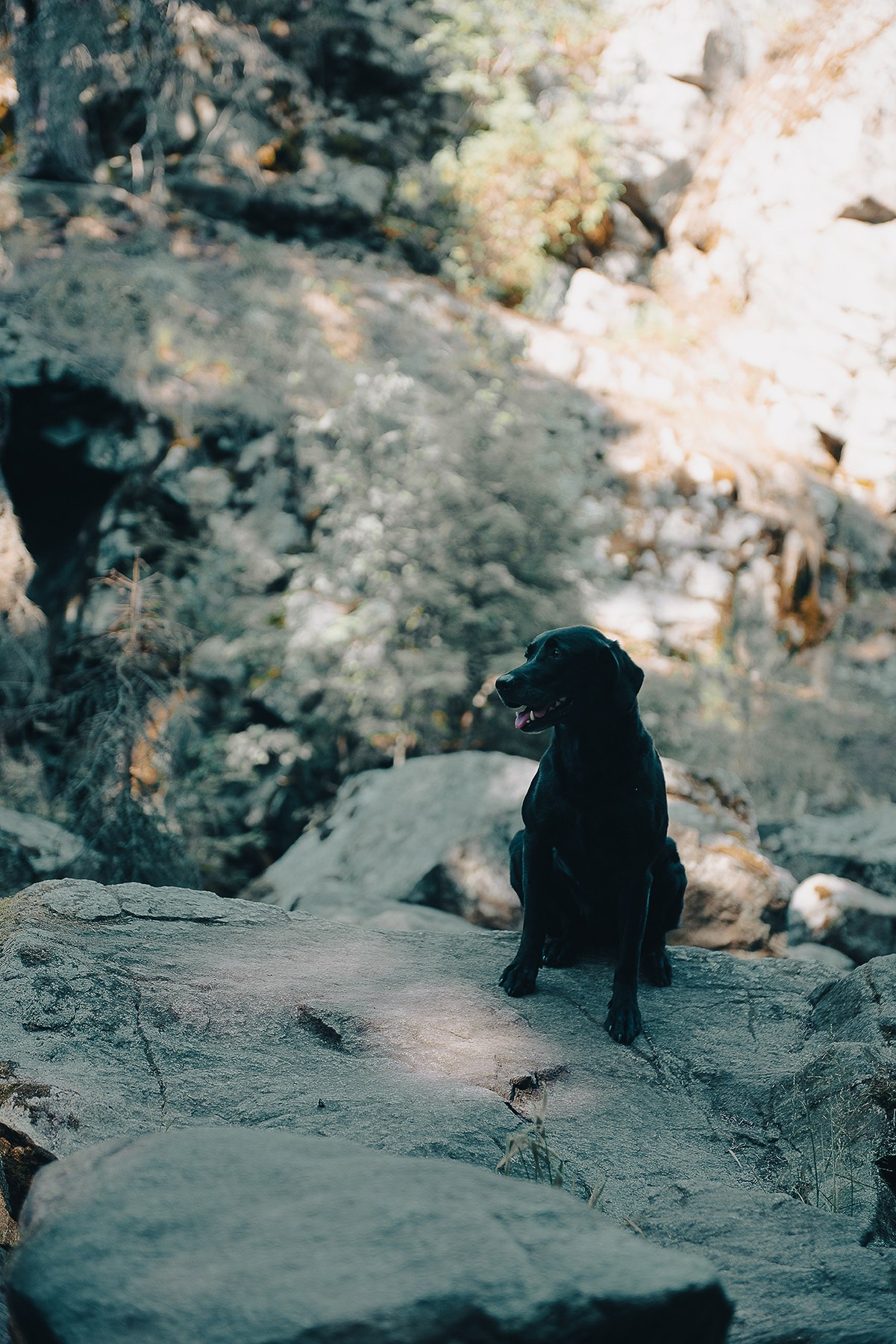 Карелия. Фотограф-анималист Наталья Светличная