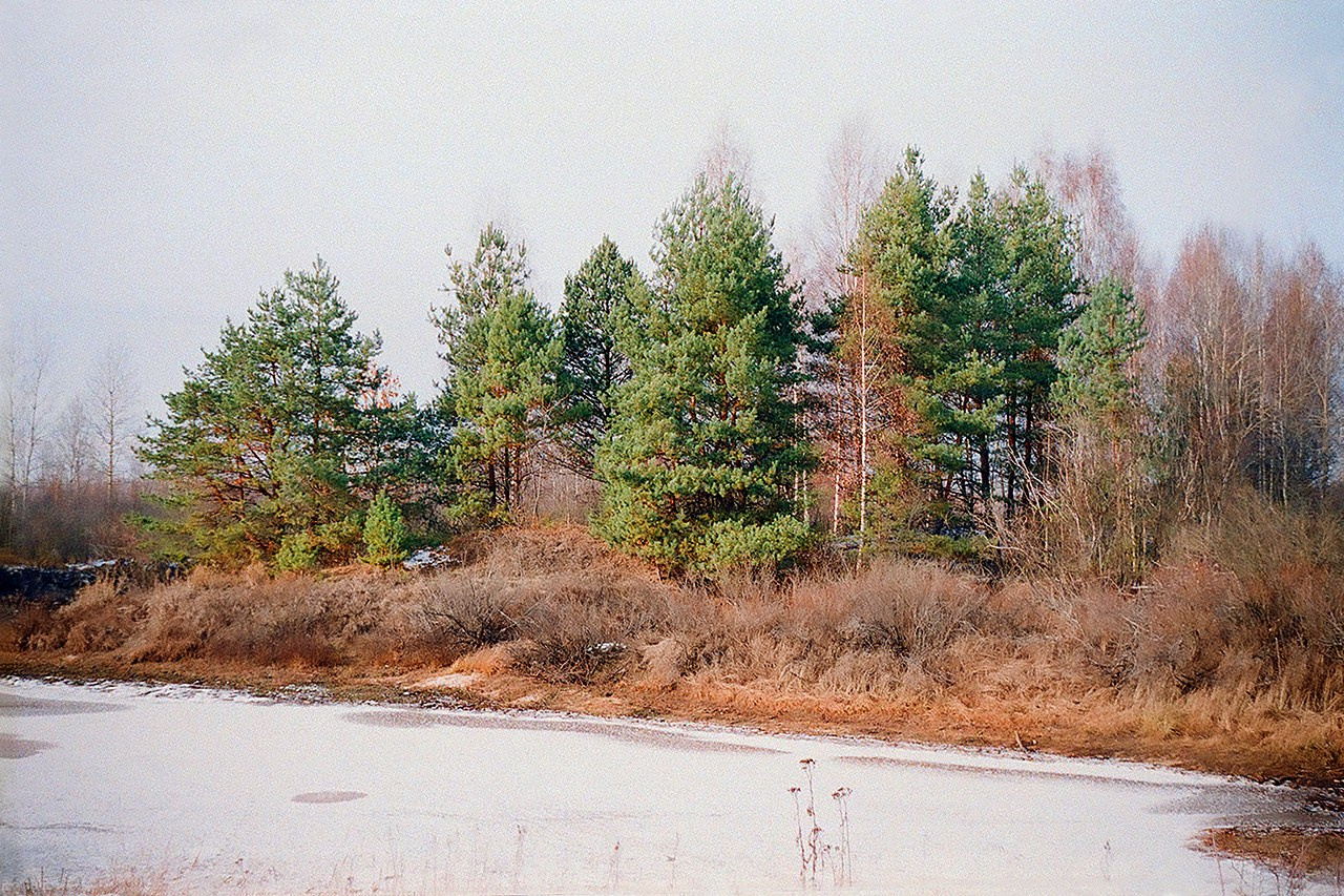 РАЗНОЕ. Андрей Пономарёв