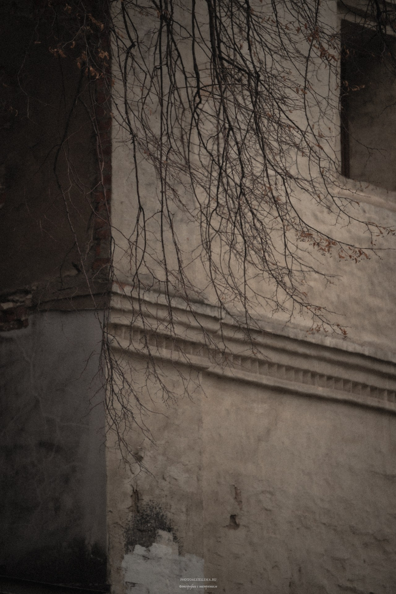 Прогулка по Москве. Авторские стильные фотокартины