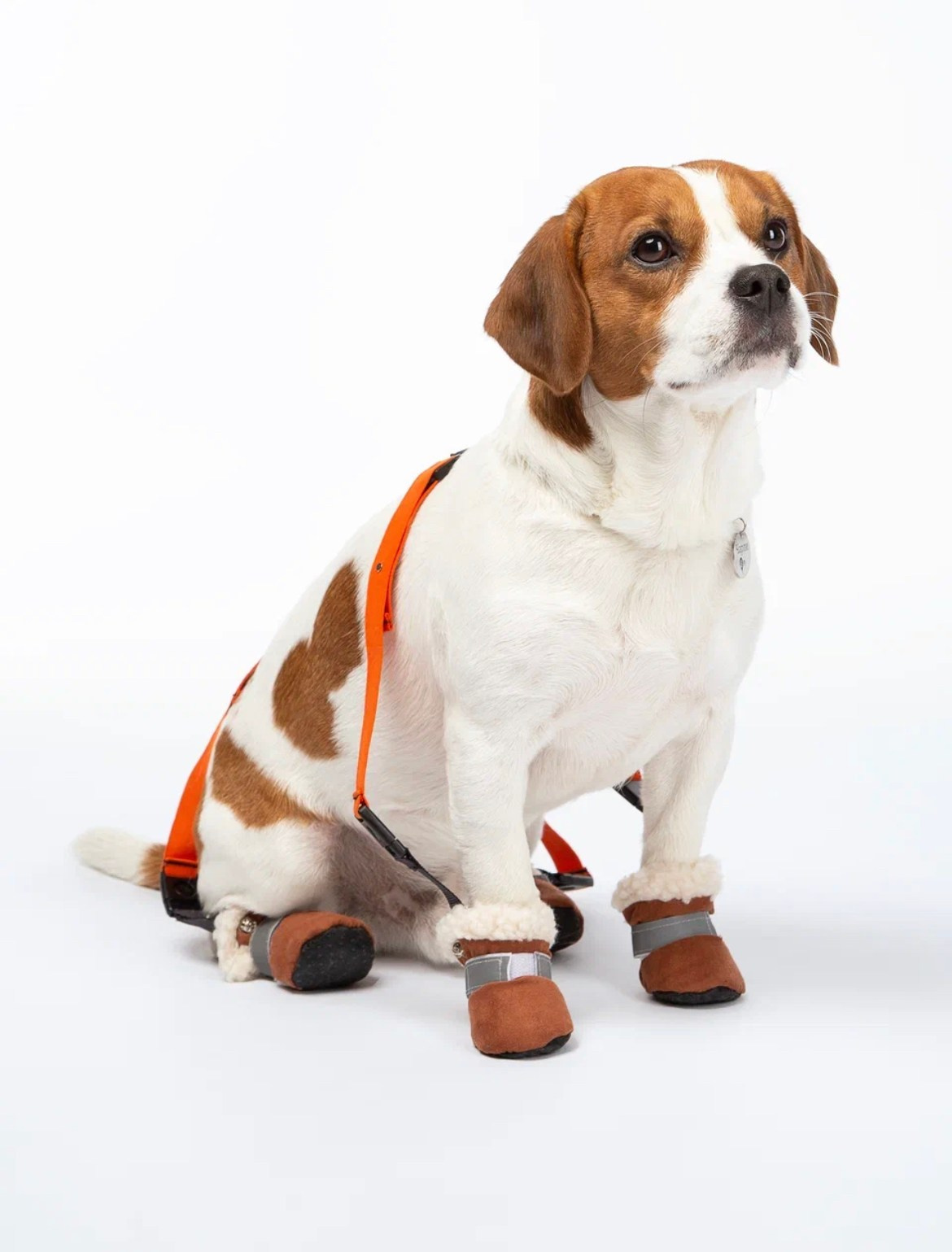 Чарли. DEWA | фотостудия для маркетплейсов