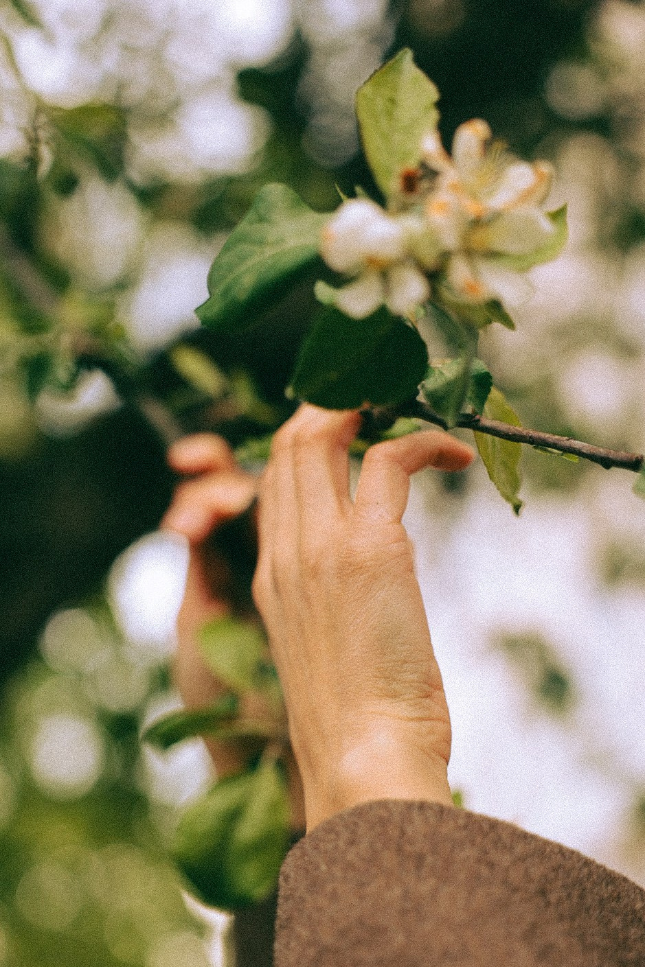 Нина. Фотограф Нижний Новгород