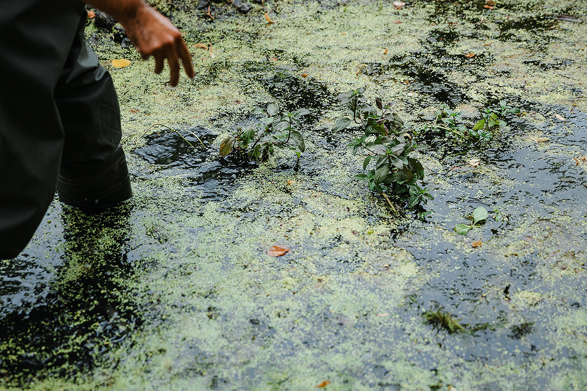 Pierre Fabre Аптекарский огород. Свадебный и семейный фотограф в Москве Кристина Ласковенкова