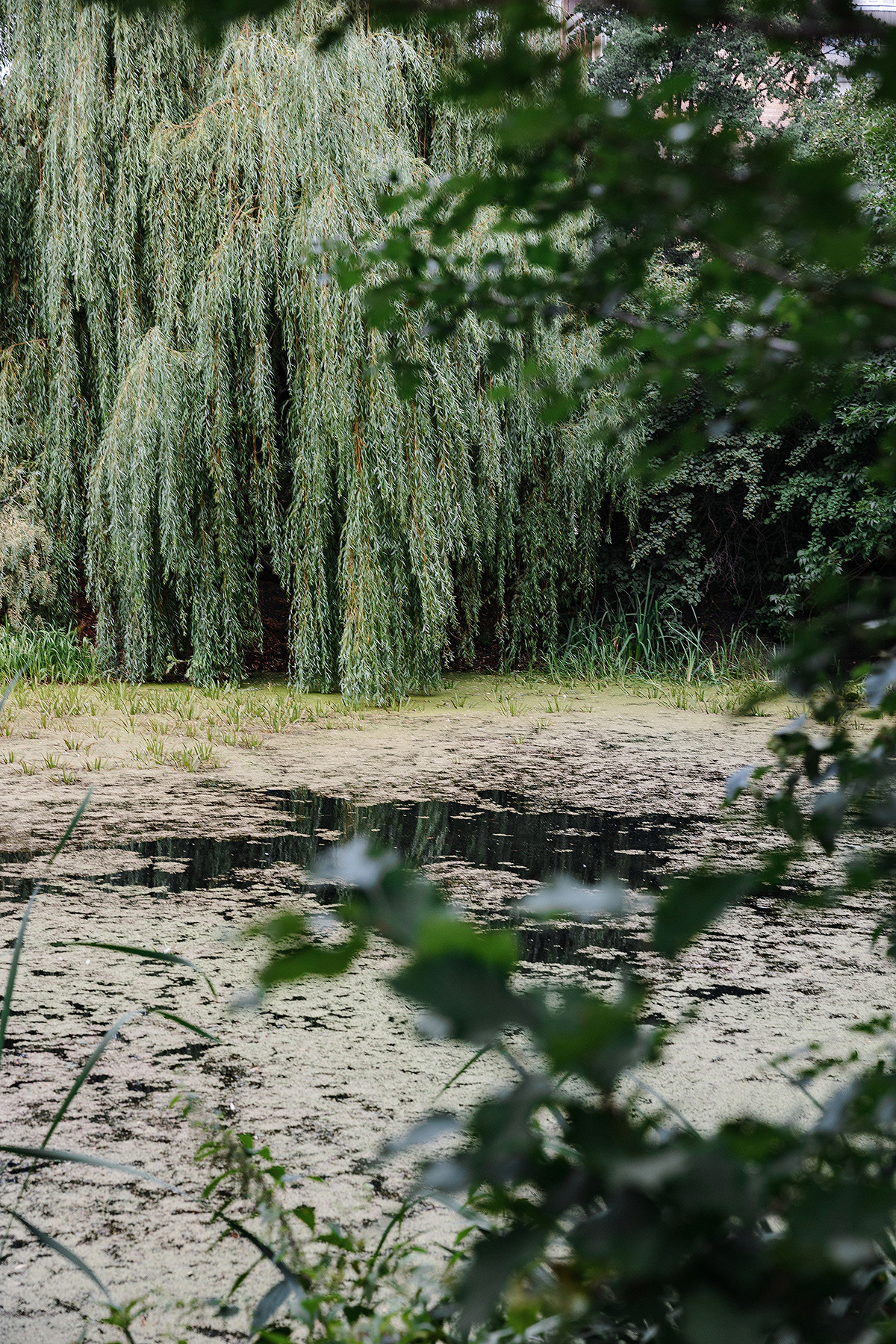 Pierre Fabre Аптекарский огород. Свадебный и семейный фотограф в Москве Кристина Ласковенкова