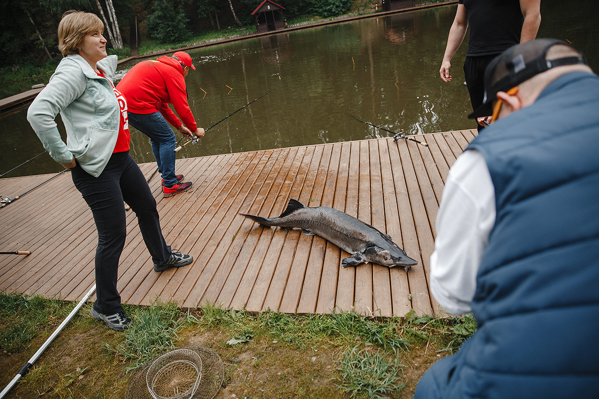 Дельта Золотой сазан. Свадебный и семейный фотограф в Москве Кристина Ласковенкова