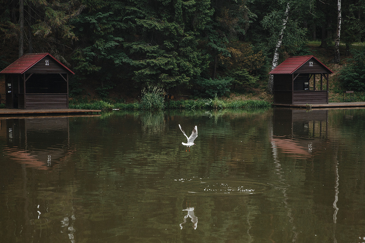 Дельта Золотой сазан. Свадебный и семейный фотограф в Москве Кристина Ласковенкова