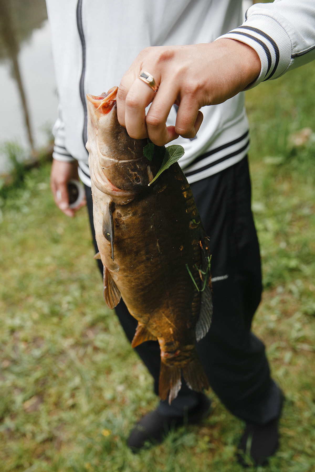 Дельта Золотой сазан. Свадебный и семейный фотограф в Москве Кристина Ласковенкова
