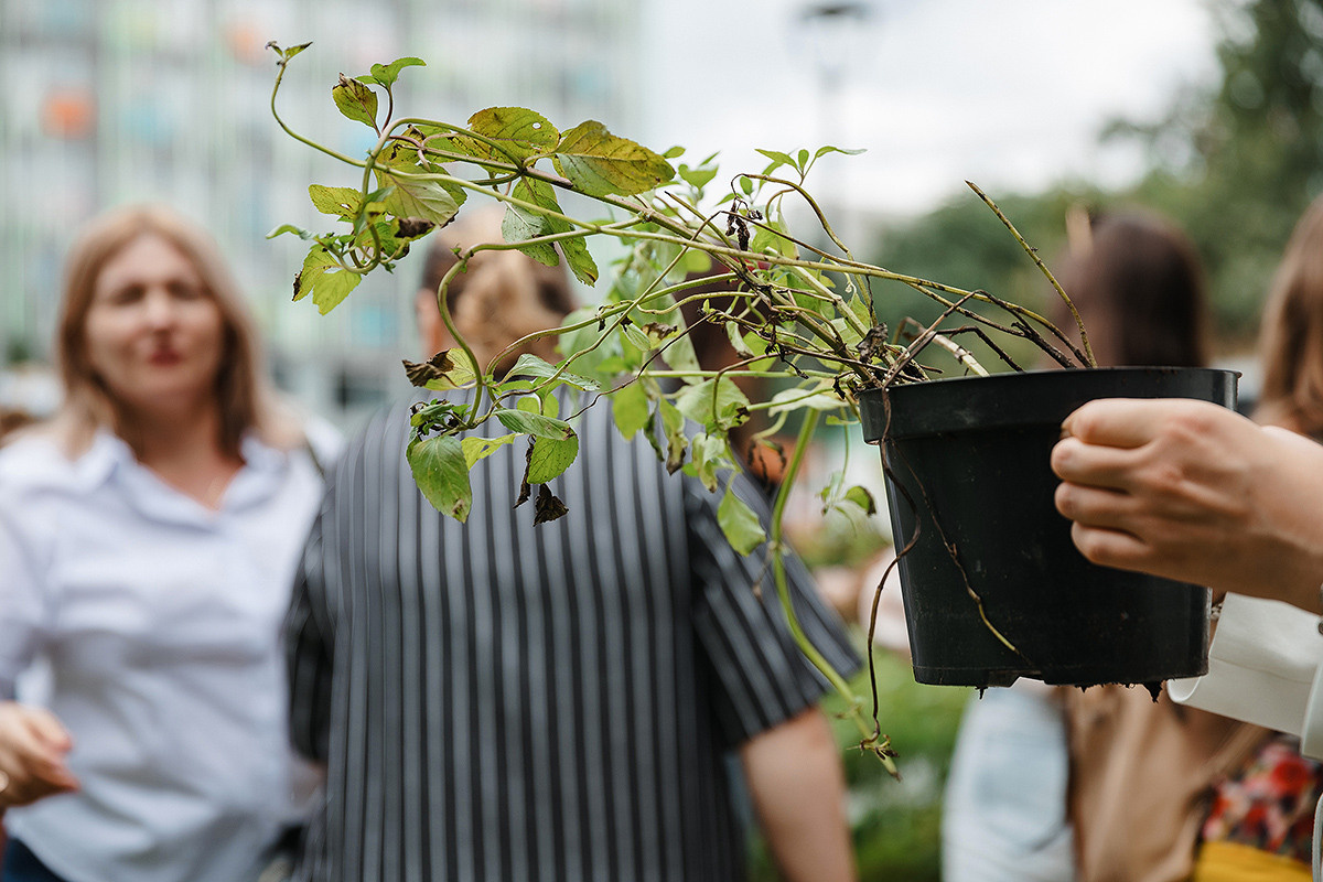 Pierre Fabre Аптекарский огород. Свадебный и семейный фотограф в Москве Кристина Ласковенкова