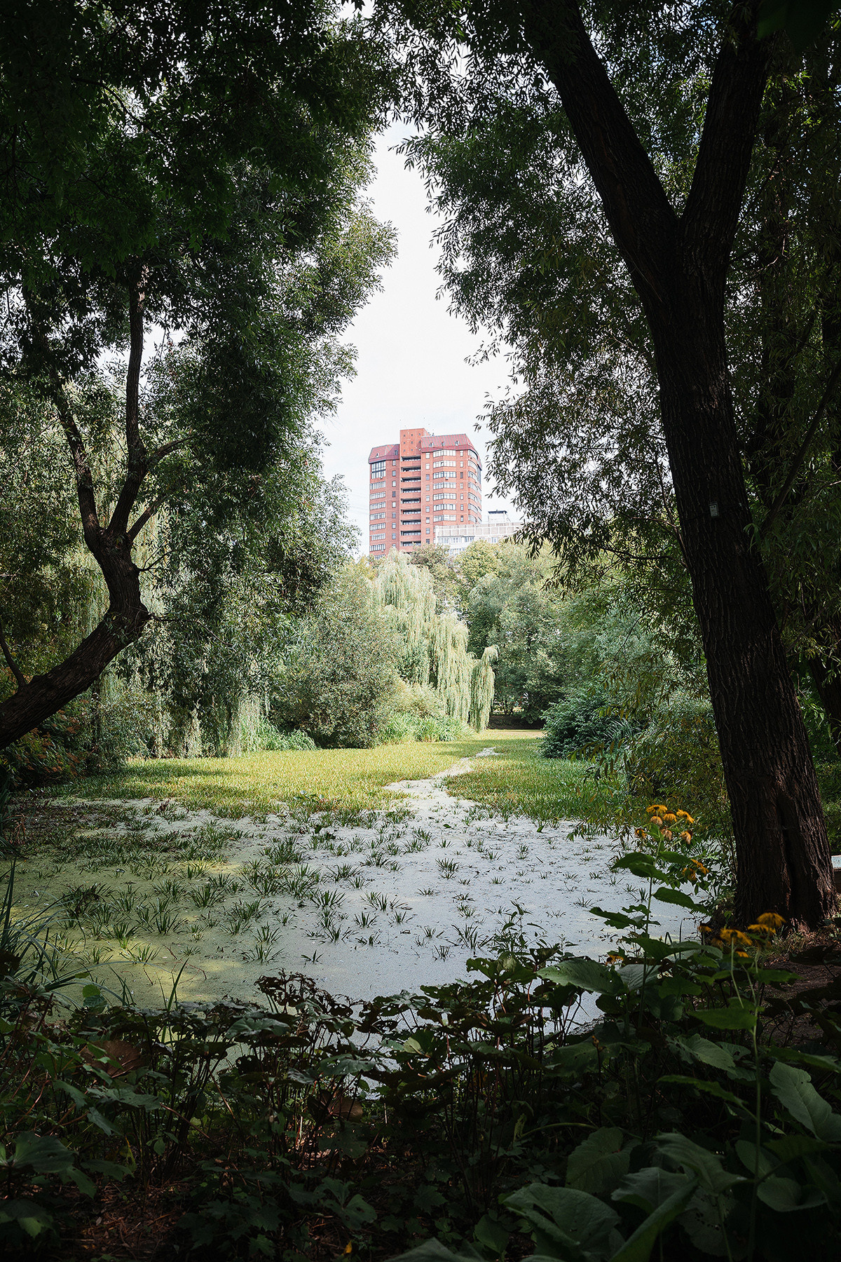 Pierre Fabre Аптекарский огород. Свадебный и семейный фотограф в Москве Кристина Ласковенкова