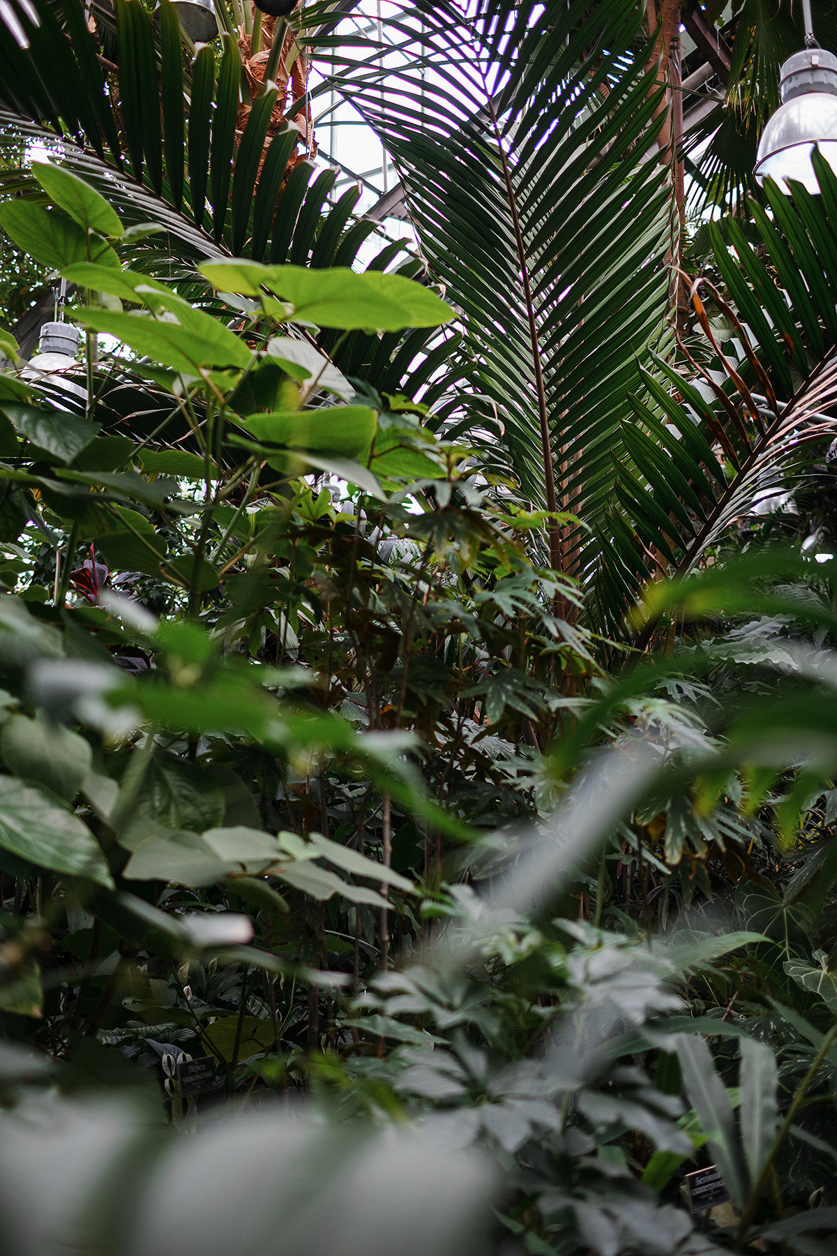 Pierre Fabre Аптекарский огород. Свадебный и семейный фотограф в Москве Кристина Ласковенкова