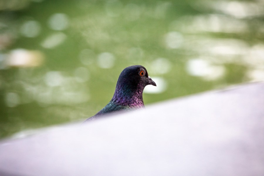 Работы учеников школы. Фотостудия Алматы. Фотосъемка Алматы. Фотосессия Алматы. Фотокурсы. Обучение фотографии. Аренда студии