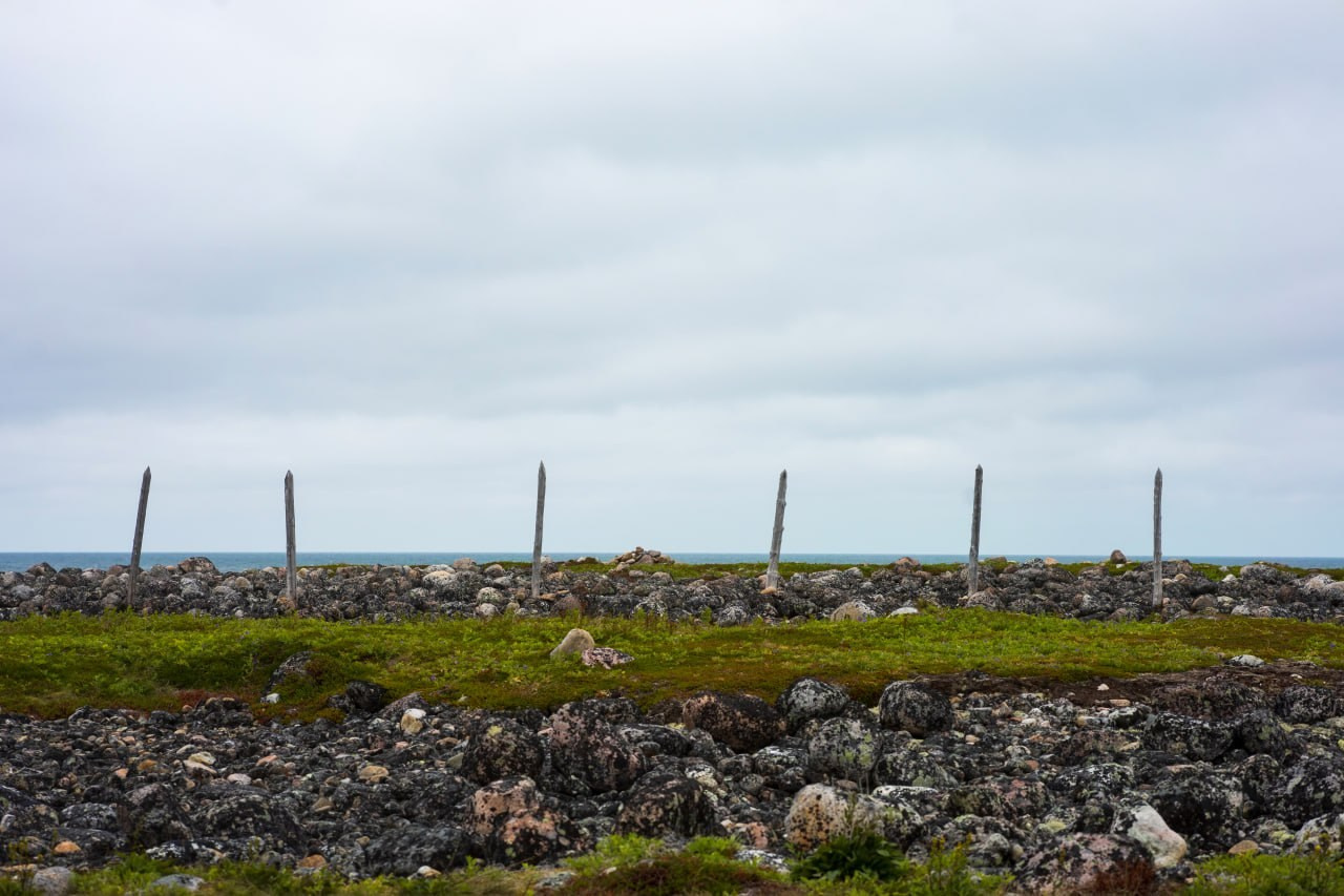 Териберка 2025. Фотограф Михаил Олейник