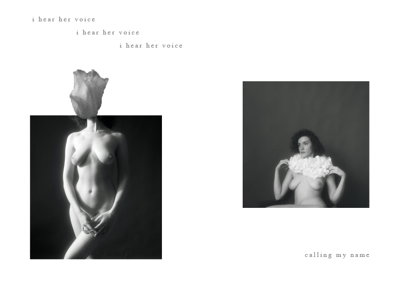 See into the trees — zine. Pictorial dream — fine art fil photography by Yaroslav Pavlov