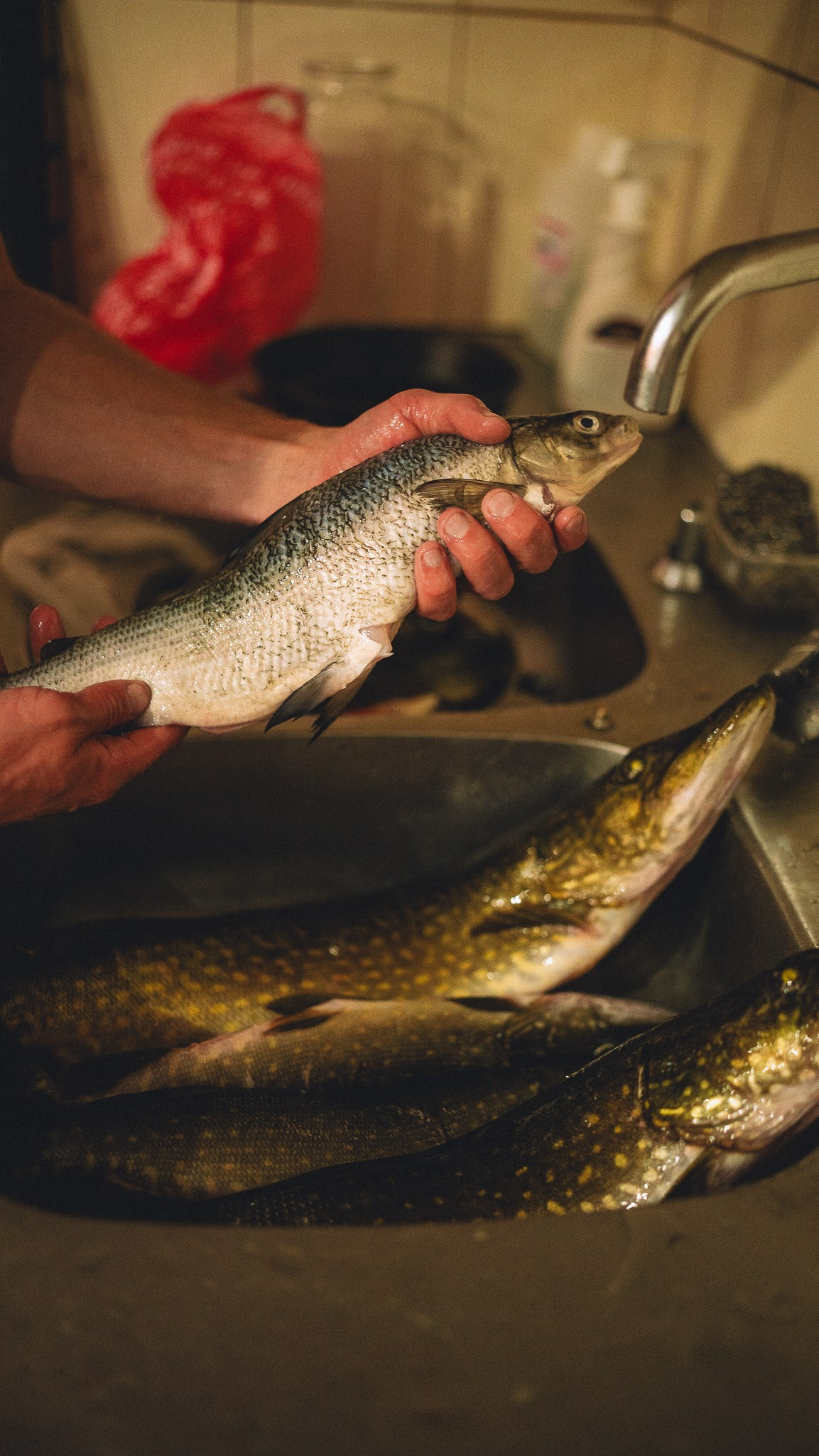 Рыбалка. Zekons. Фото, видео, нейросети