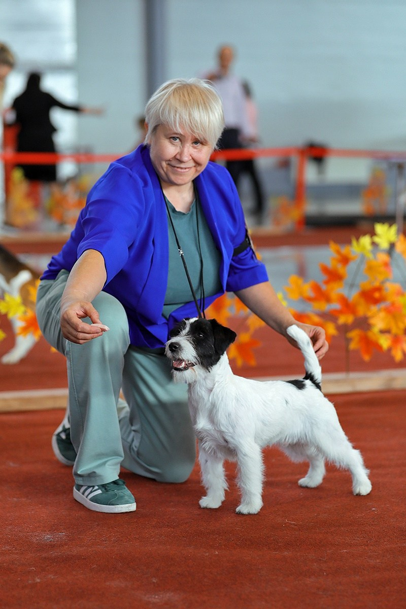 Port Fortis Play Boy