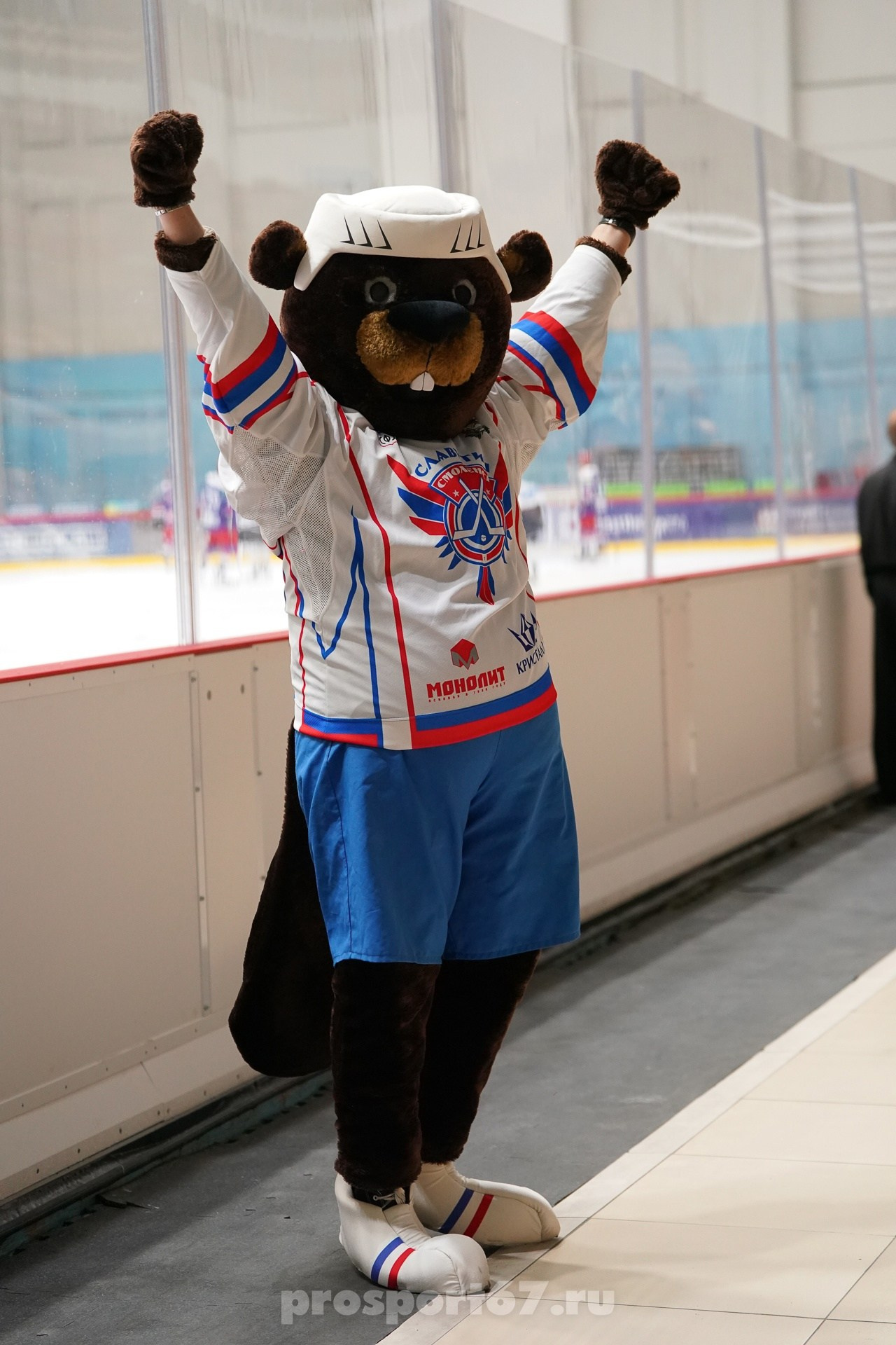 Хоккей. Спортивный фотограф Олег Медведев | prosport67 | Смоленск