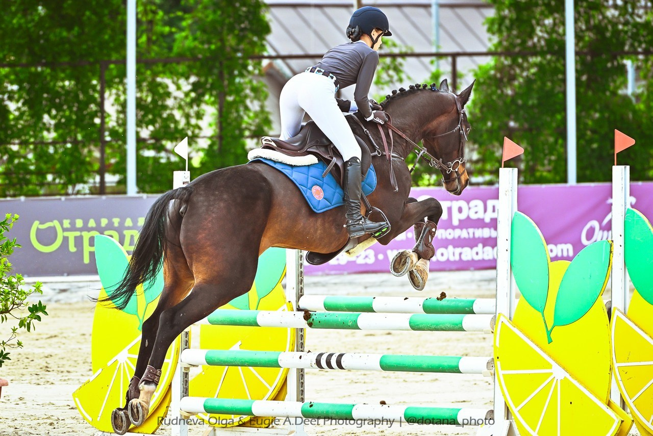 Отзывы. ТУРНИРНАЯ КОННАЯ ФОТОГРАФИЯ, Руднева Ольга и Евгений Адеев