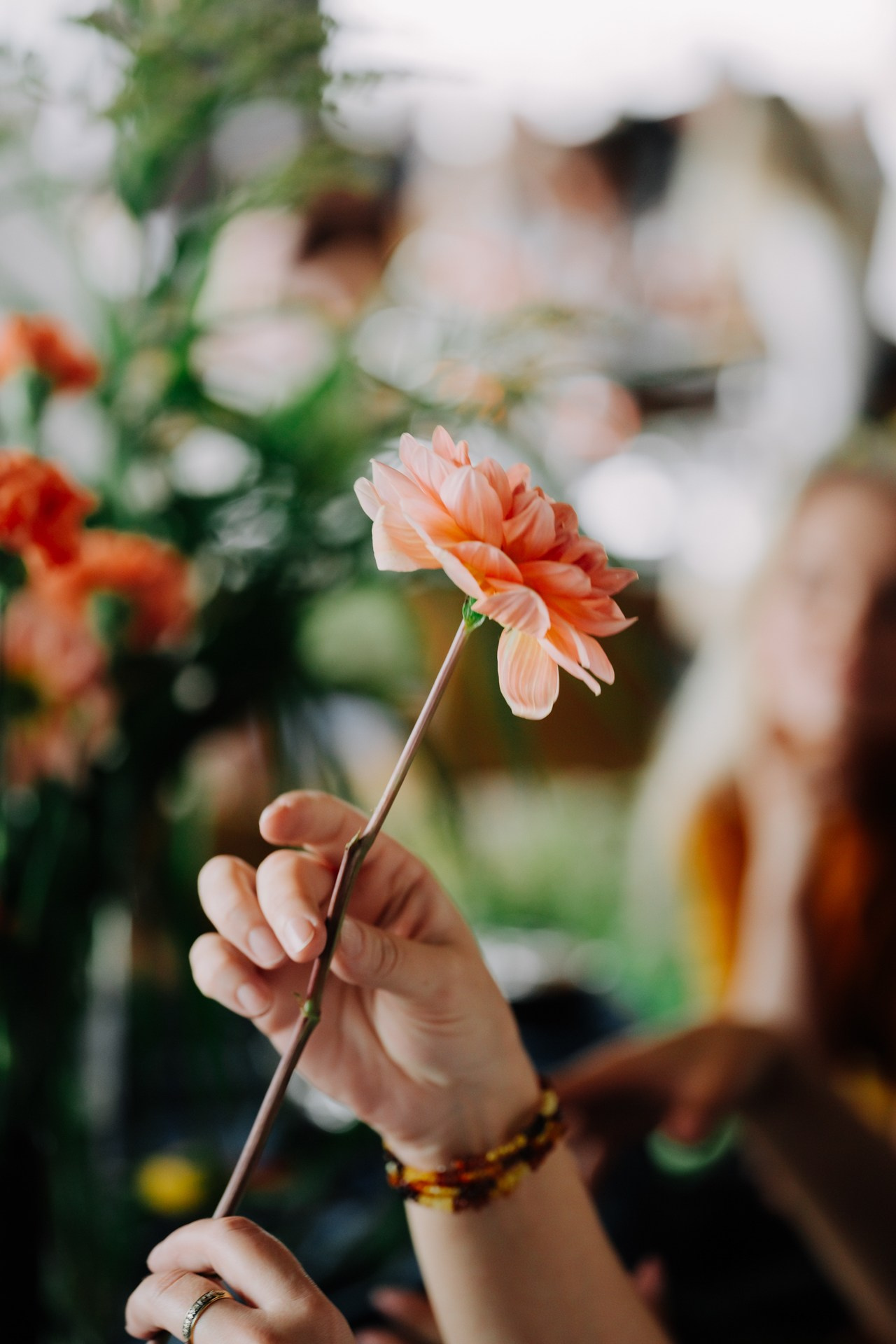 ОСЕННИЙ БРАНЧ в F11. Night2Day Санкт-Петербург