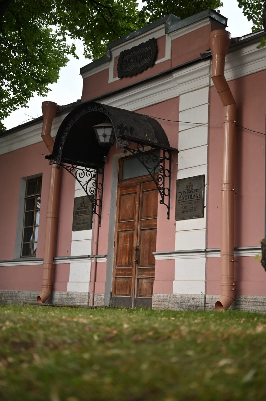 . ZDARONOKIA Репортажный фотограф