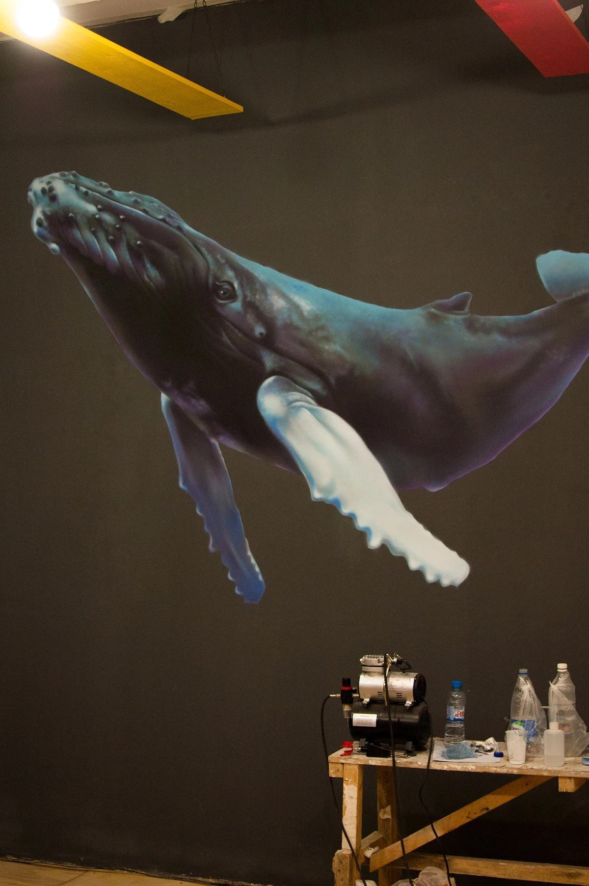 "Кит". Lana Photo Design