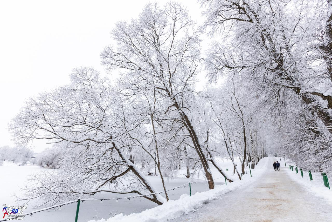 Усадьба Л. Н. Толстого «Ясная поляна» зимой. Фотограф в Туле Крупский АнДРей. Фотостудия «КАДР71» в Туле