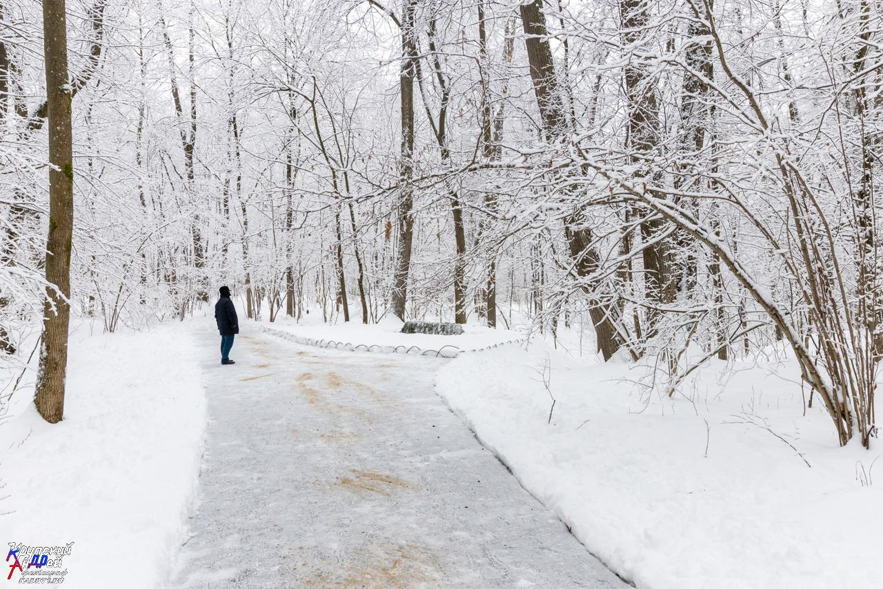 Усадьба Л. Н. Толстого «Ясная поляна» зимой. Фотограф в Туле Крупский АнДРей. Фотостудия «КАДР71» в Туле
