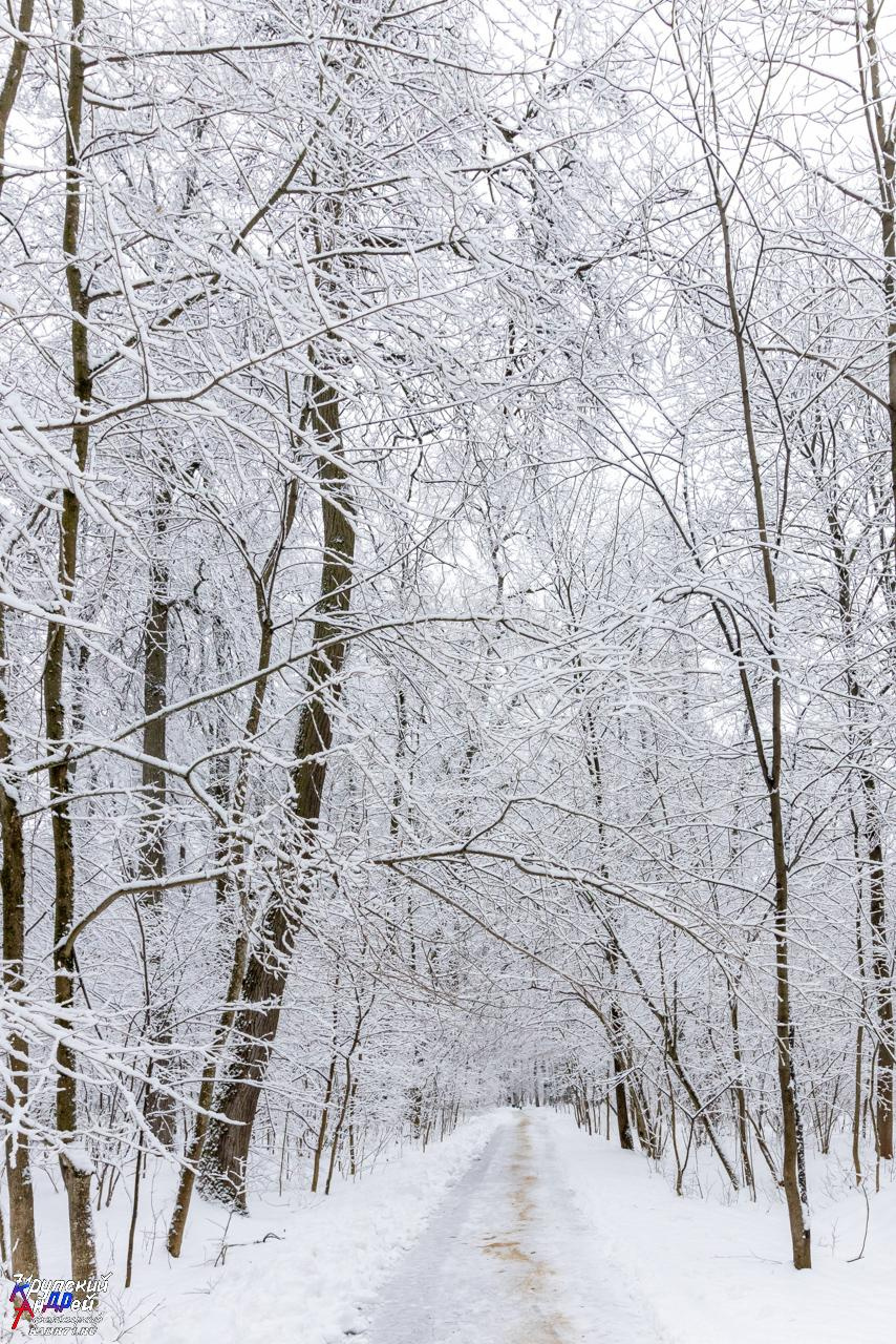 Усадьба Л. Н. Толстого «Ясная поляна» зимой. Фотограф в Туле Крупский АнДРей. Фотостудия «КАДР71» в Туле