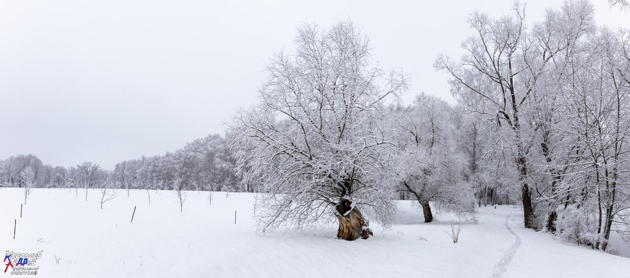 Усадьба Л. Н. Толстого «Ясная поляна» зимой. Фотограф в Туле Крупский АнДРей. Фотостудия «КАДР71» в Туле