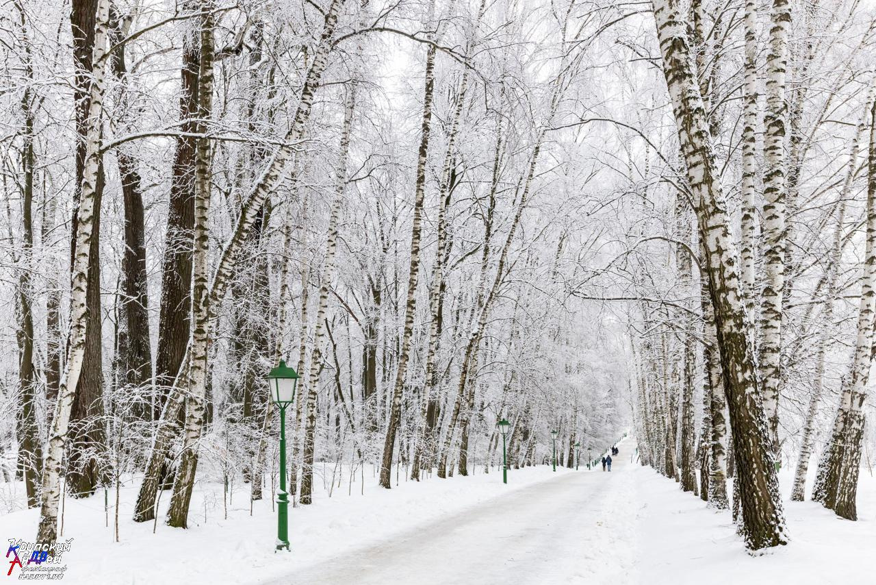Усадьба Л. Н. Толстого «Ясная поляна» зимой. Фотограф в Туле Крупский АнДРей. Фотостудия «КАДР71» в Туле