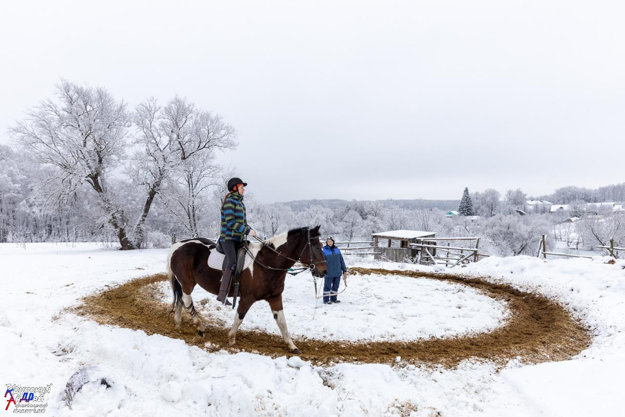 Усадьба Л. Н. Толстого «Ясная поляна» зимой. Фотограф в Туле Крупский АнДРей. Фотостудия «КАДР71» в Туле