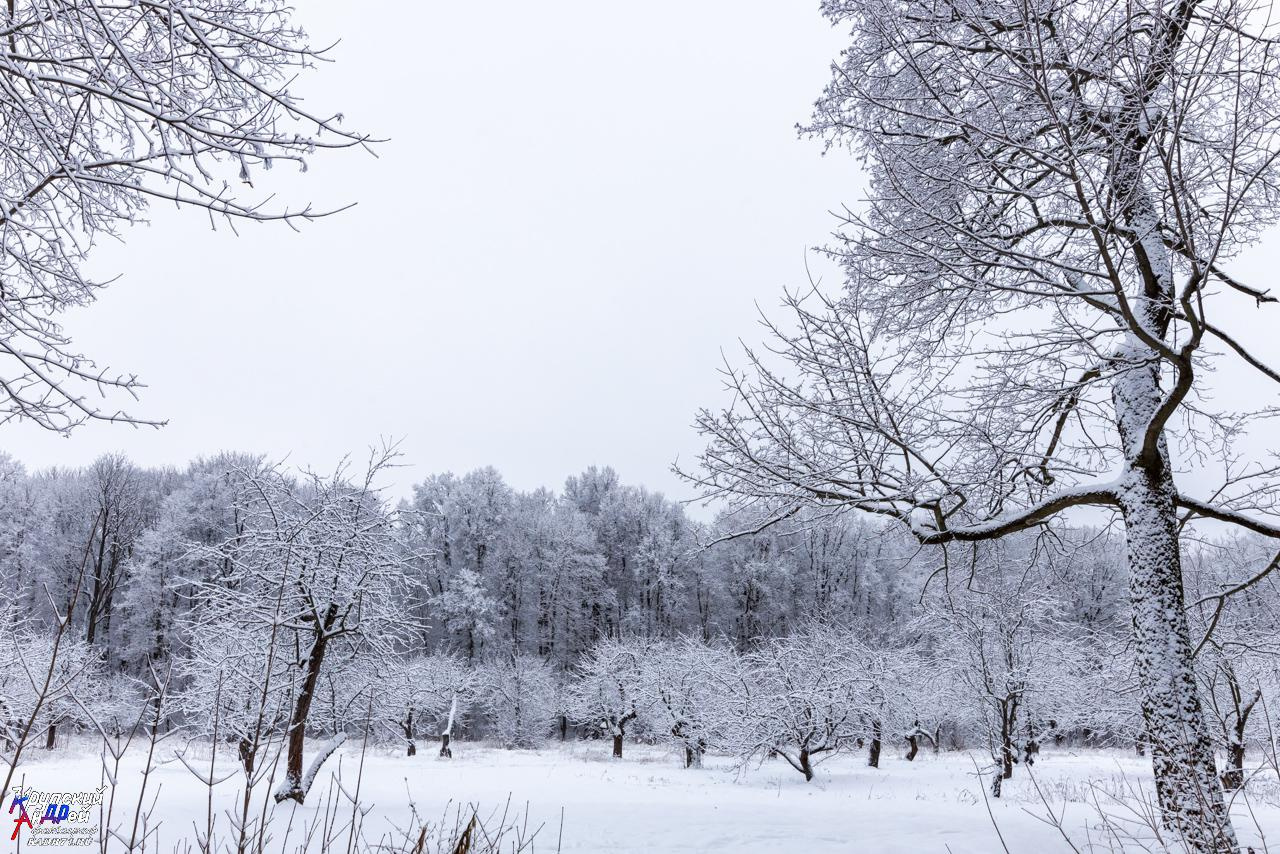 Усадьба Л. Н. Толстого «Ясная поляна» зимой. Фотограф в Туле Крупский АнДРей. Фотостудия «КАДР71» в Туле