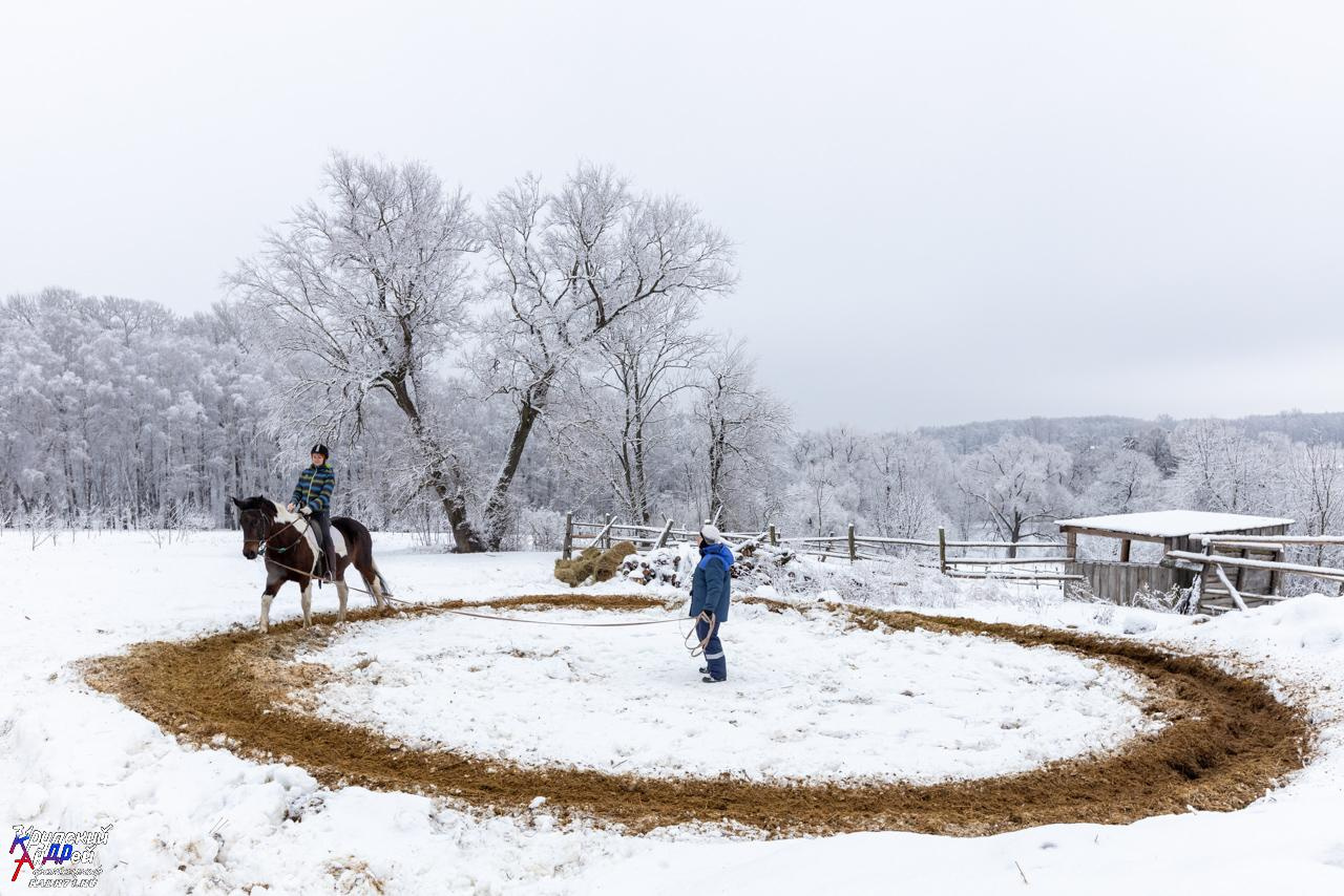 Усадьба Л. Н. Толстого «Ясная поляна» зимой. Фотограф в Туле Крупский АнДРей. Фотостудия «КАДР71» в Туле