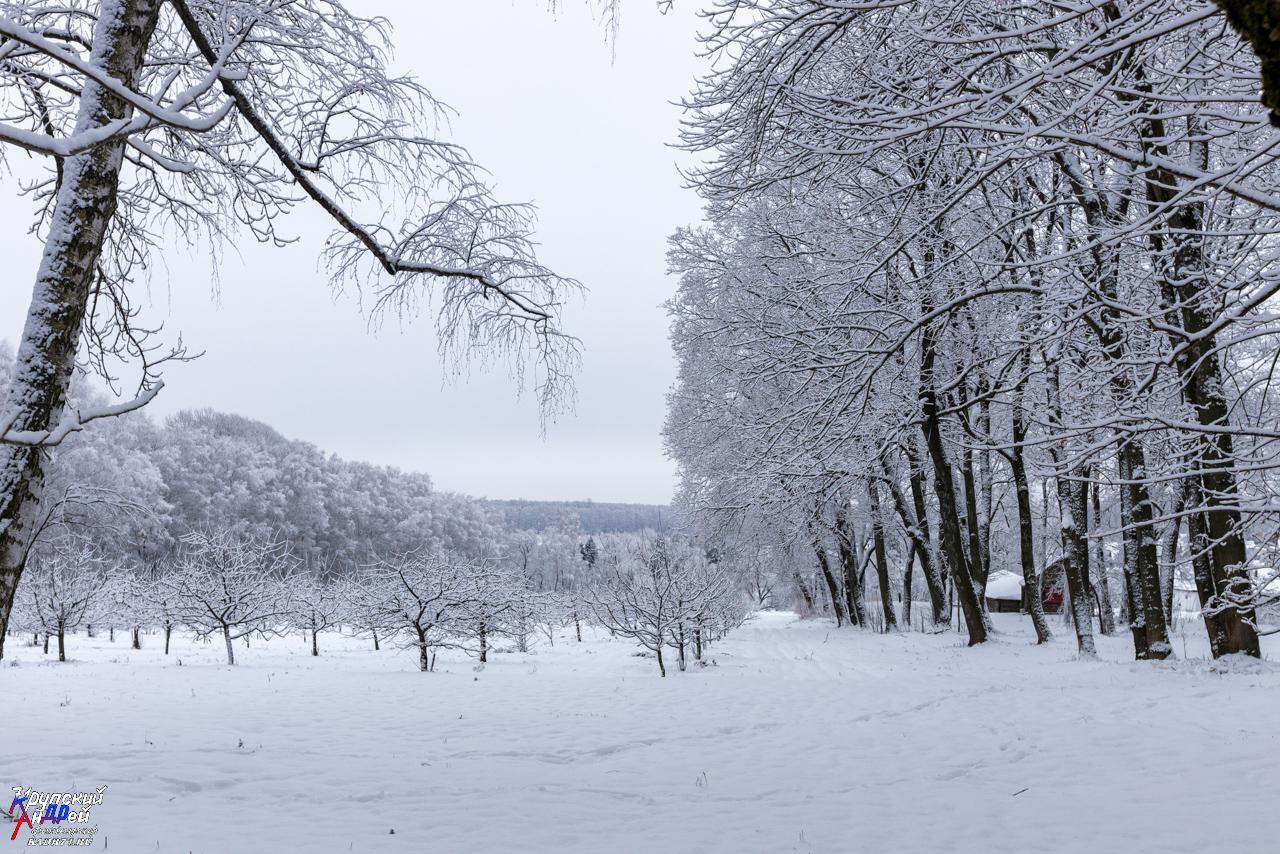 Усадьба Л. Н. Толстого «Ясная поляна» зимой. Фотограф в Туле Крупский АнДРей. Фотостудия «КАДР71» в Туле