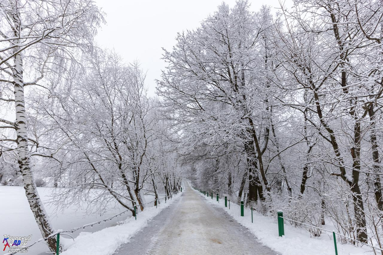 Усадьба Л. Н. Толстого «Ясная поляна» зимой. Фотограф в Туле Крупский АнДРей. Фотостудия «КАДР71» в Туле