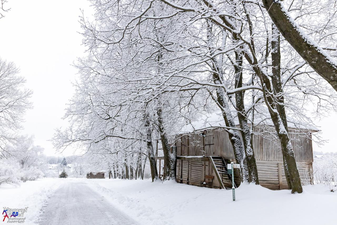 Усадьба Л. Н. Толстого «Ясная поляна» зимой. Фотограф в Туле Крупский АнДРей. Фотостудия «КАДР71» в Туле