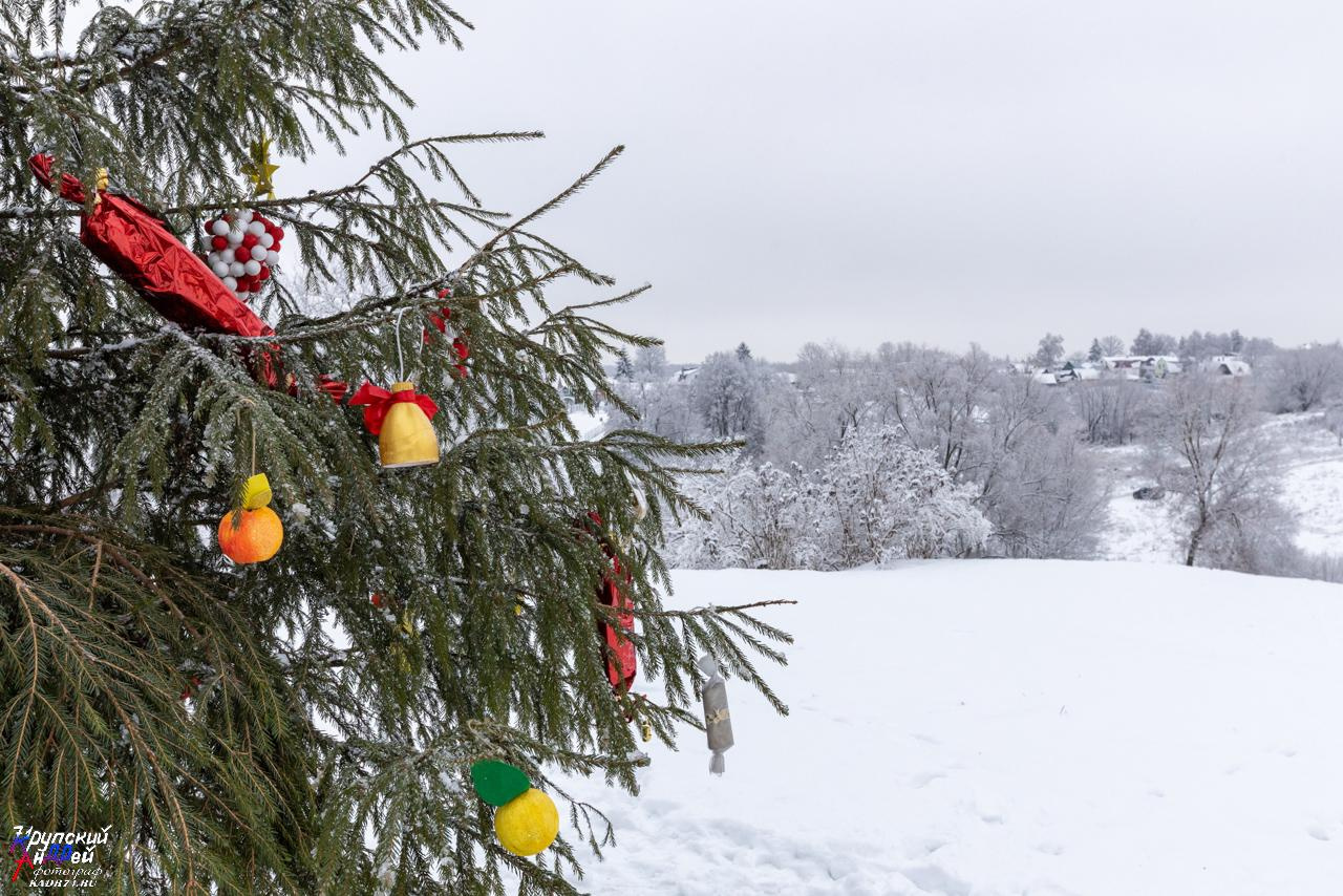 Усадьба Л. Н. Толстого «Ясная поляна» зимой. Фотограф в Туле Крупский АнДРей. Фотостудия «КАДР71» в Туле