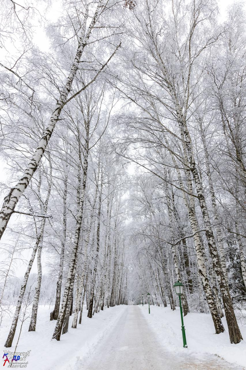 Усадьба Л. Н. Толстого «Ясная поляна» зимой. Фотограф в Туле Крупский АнДРей. Фотостудия «КАДР71» в Туле